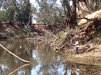 fishing